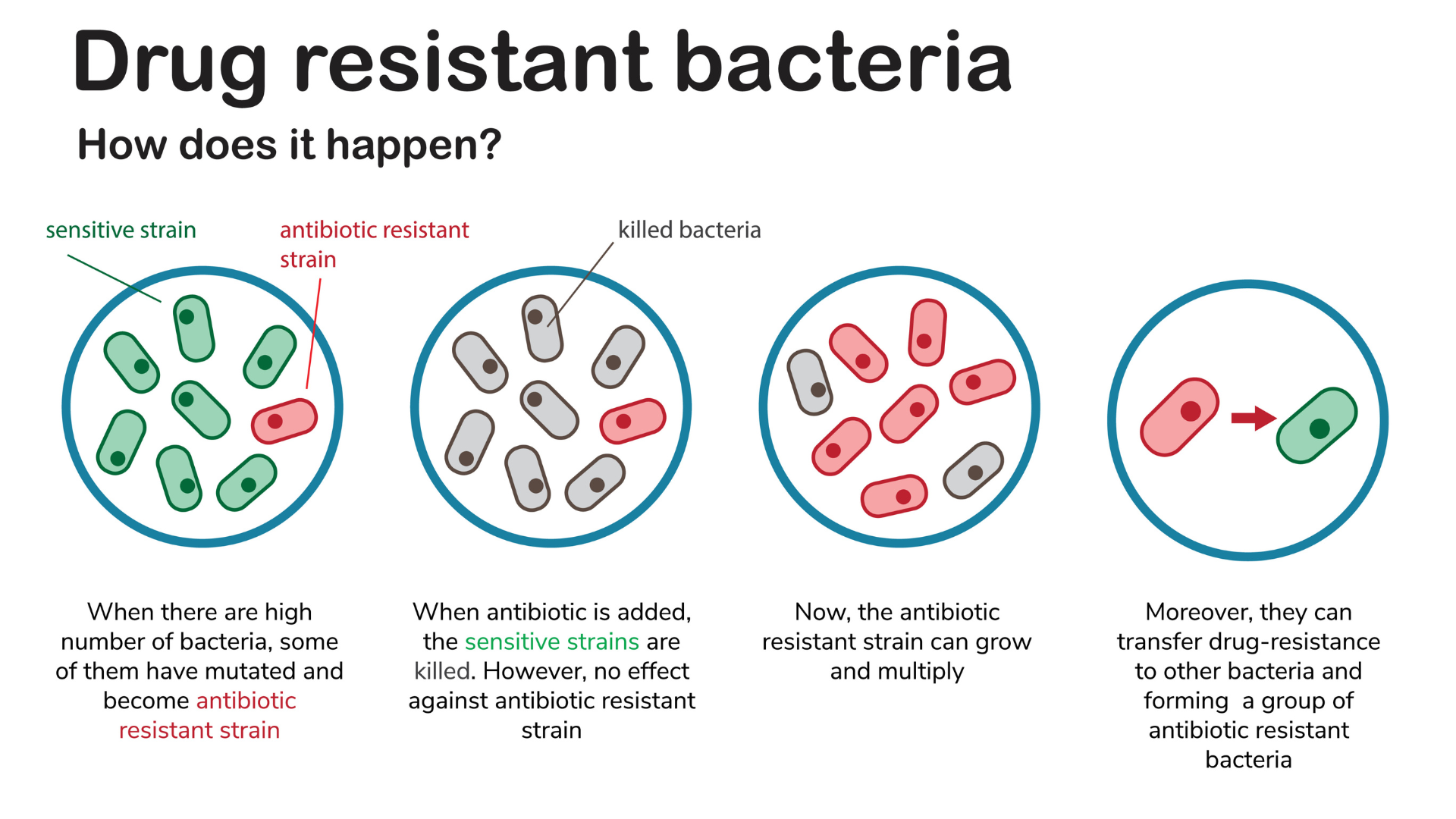 phd antibiotic resistance