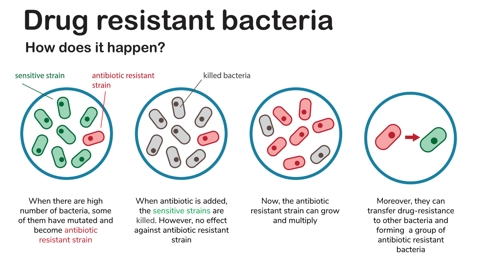 Is It Ok To Be On Antibiotics For A Long Time