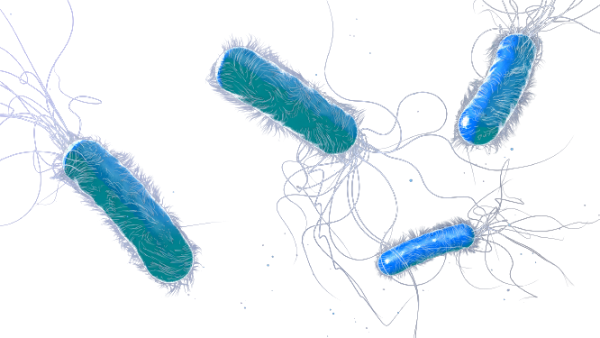 Nosocomial infections